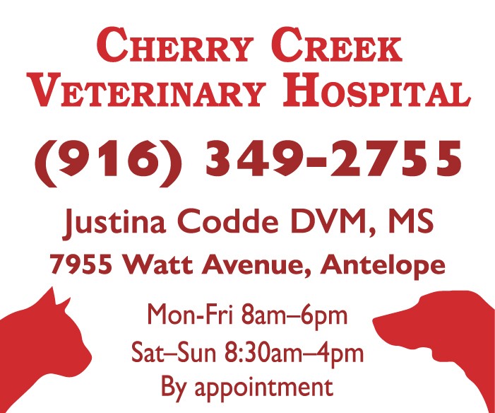 Cherry Creek Veterinarians Ad 